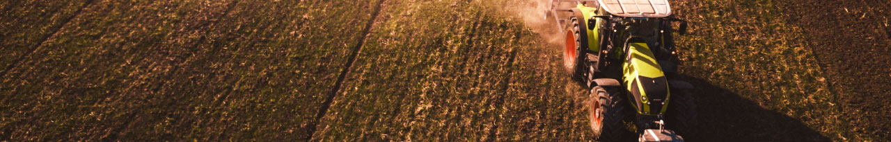 Imagem do header Serviços